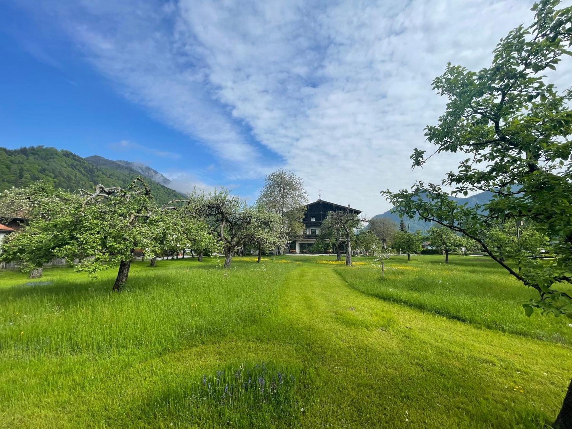 Alpenhof Landhotel Restaurant 오베라우도프 외부 사진