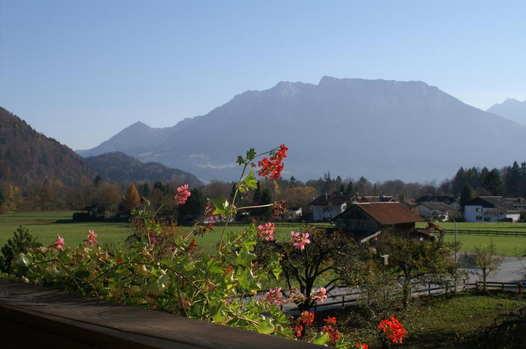 Alpenhof Landhotel Restaurant 오베라우도프 객실 사진