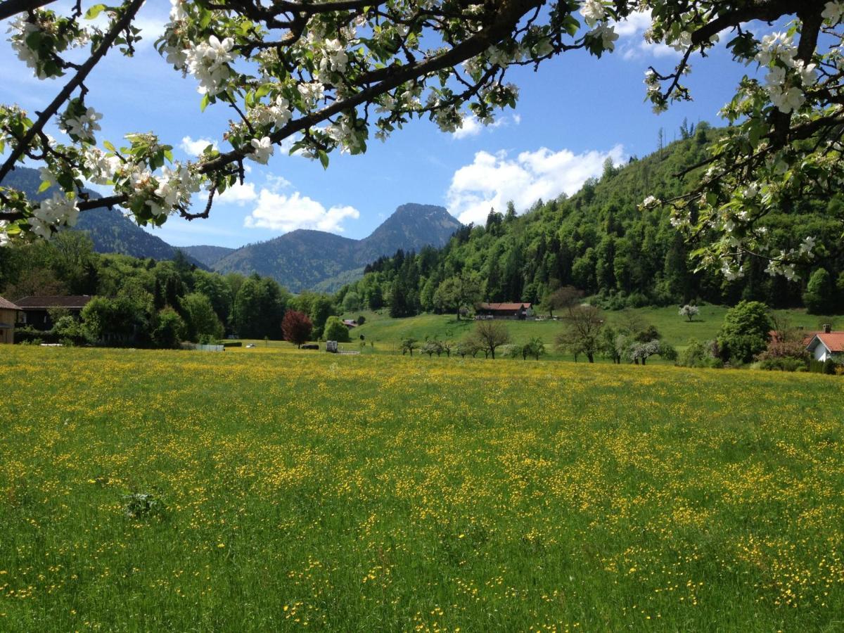 Alpenhof Landhotel Restaurant 오베라우도프 외부 사진